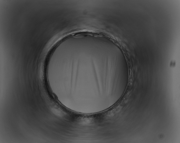 X0000101160247200807181405