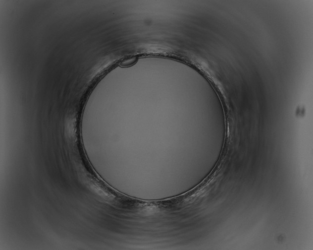 X0000101160249200807181405