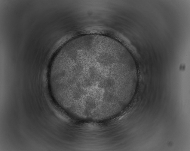 X0000101160250200807181405