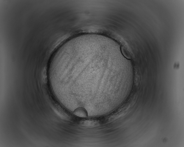 X0000101160251200807181405
