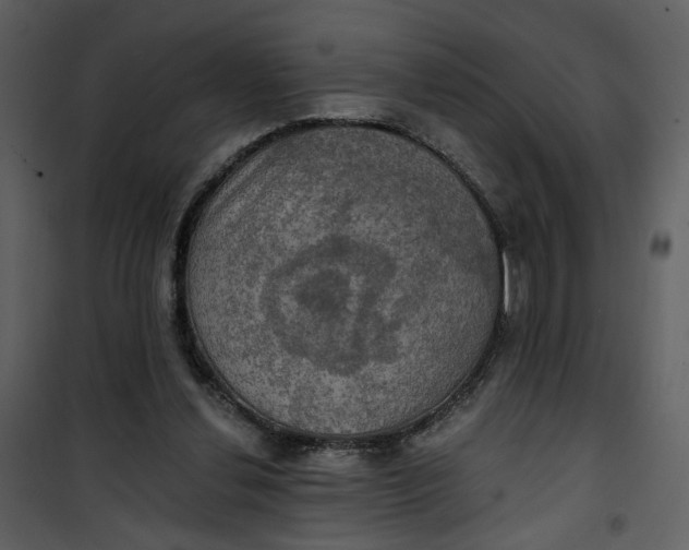 X0000101160252200807181405