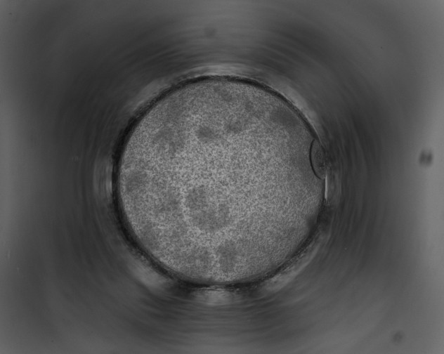 X0000101160253200807181405