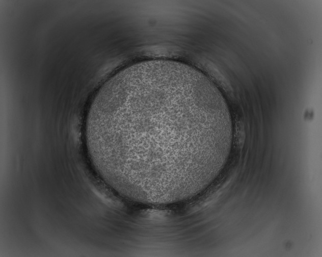 X0000101160255200807181406