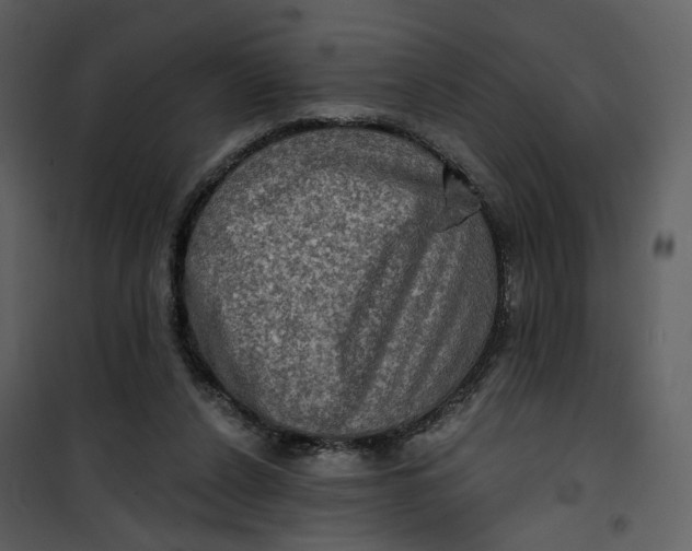 X0000101160256200807181406