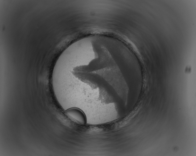 X0000101160257200807181406