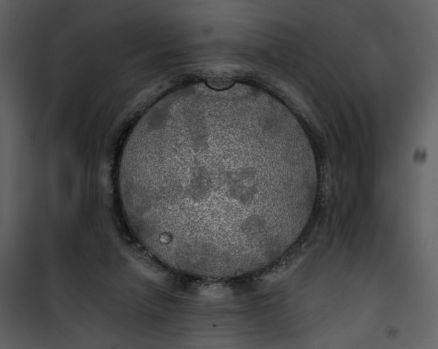 X0000101160258200807181406