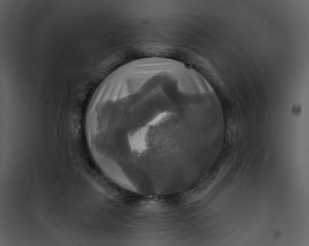 X0000101160259200807181406