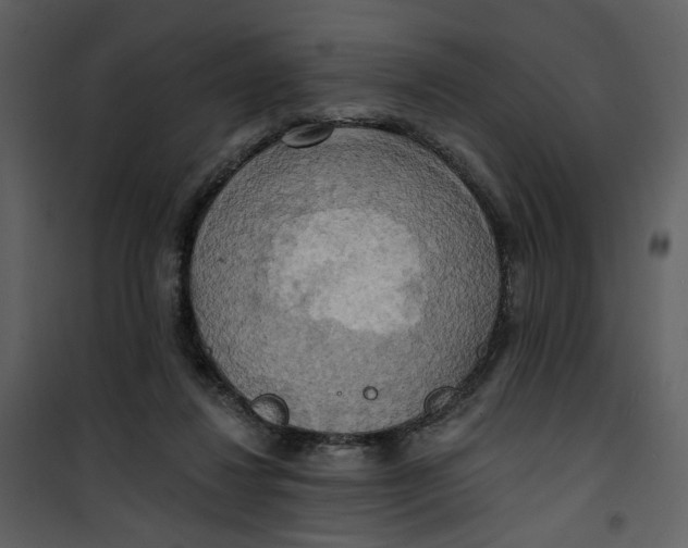 X0000101160260200807181406