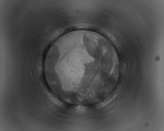 X0000101160261200807181406