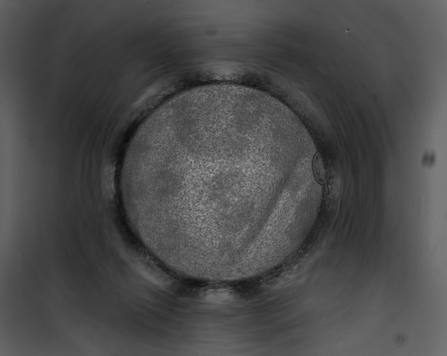 X0000101160262200807181406