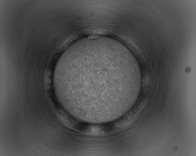 X0000101160264200807181406