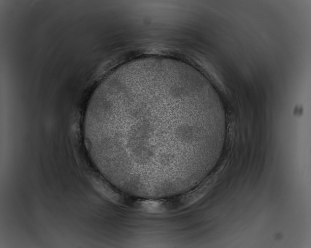 X0000101160265200807181406