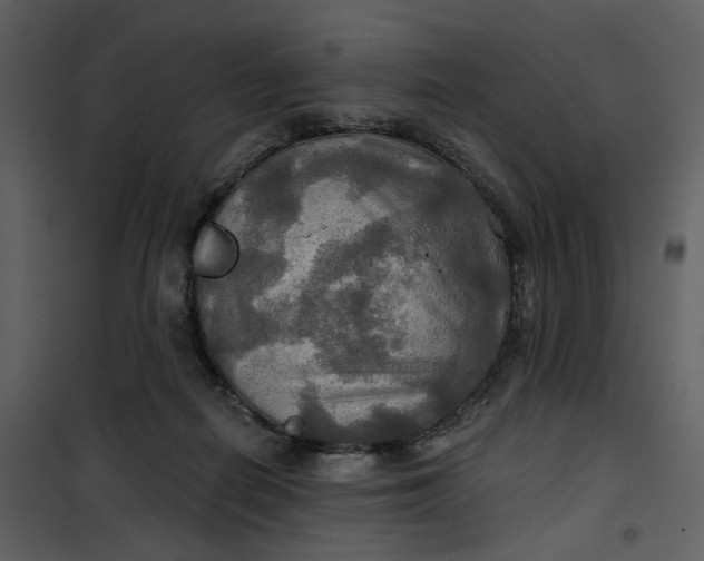 X0000101160266200807181406