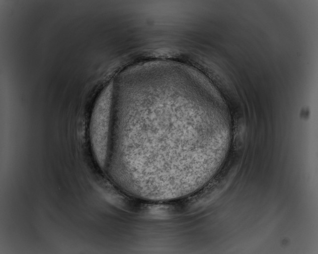 X0000101160268200807181406
