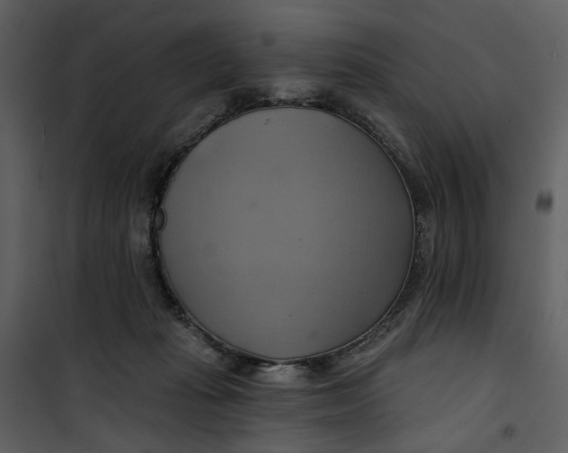 X0000101160269200807181406