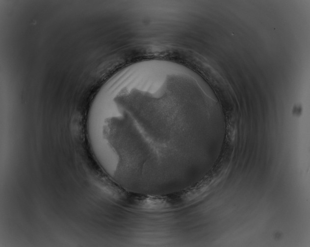 X0000101160270200807181406