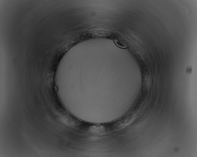 X0000101160271200807181406