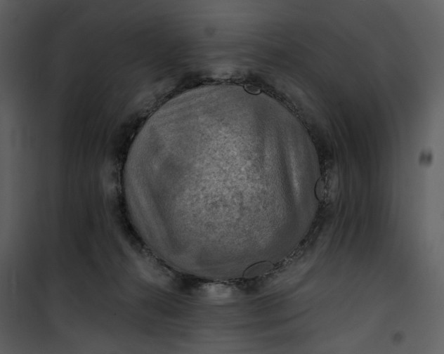 X0000101160272200807181406