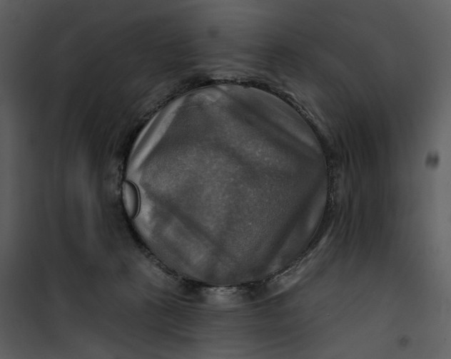 X0000101160273200807181406