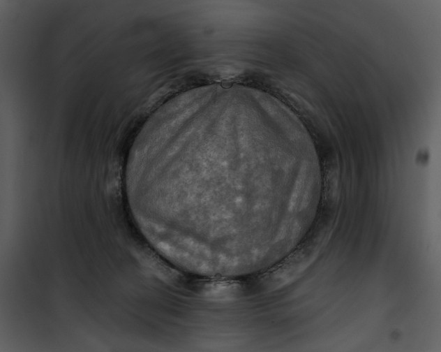 X0000101160274200807181406