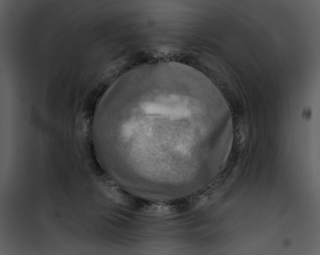 X0000101160276200807181406