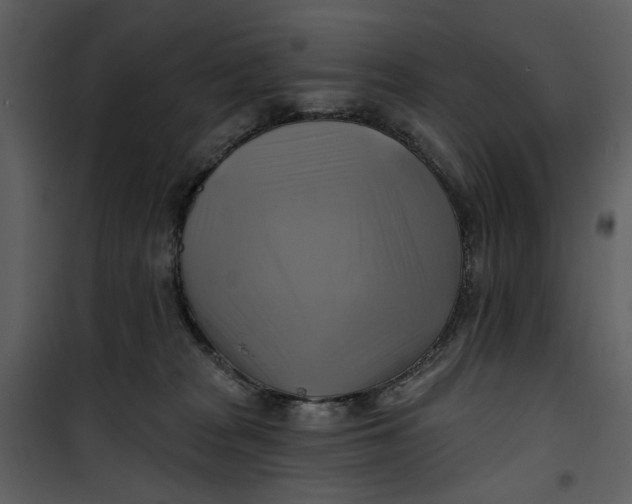 X0000101160277200807181406