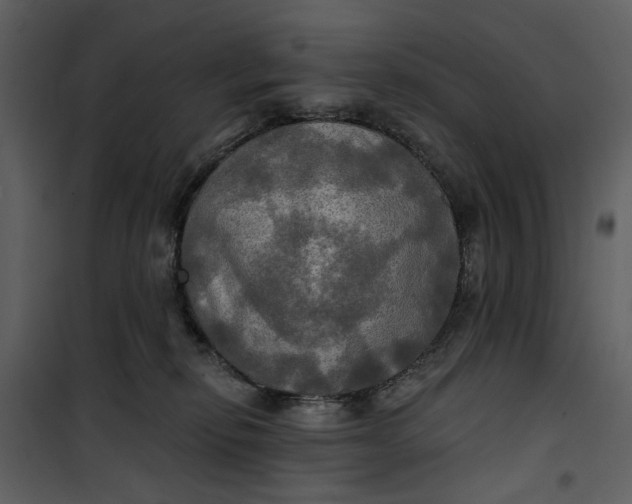 X0000101160278200807181406