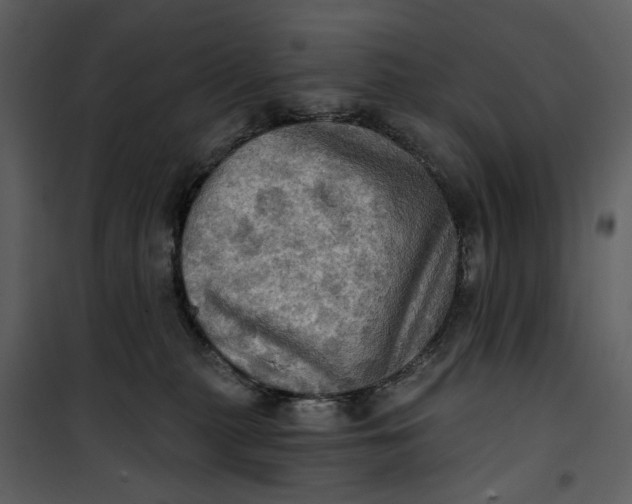 X0000101160279200807181406