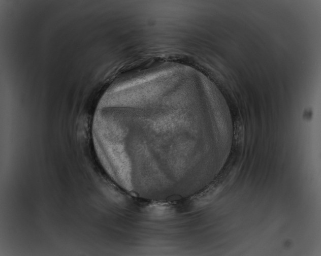 X0000101160280200807181406