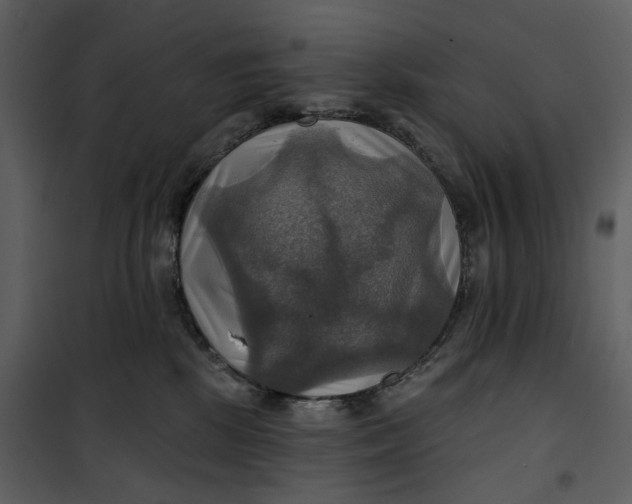 X0000101160281200807181406