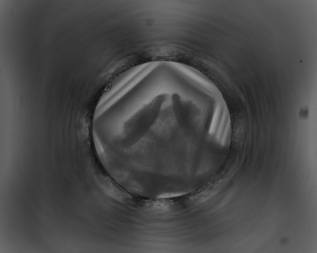 X0000101160282200807181406