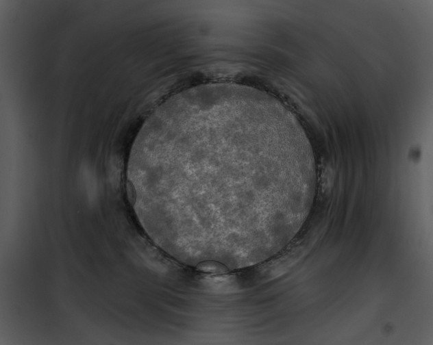 X0000101160283200807181406