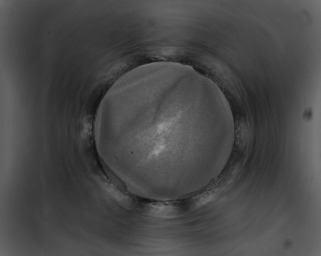 X0000101160284200807181406