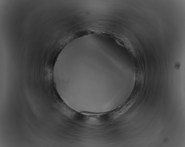 X0000101160285200807181406