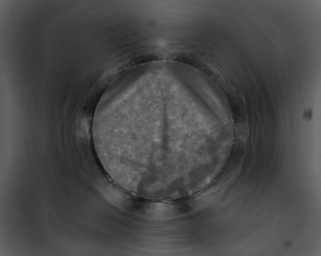 X0000101160286200807181406