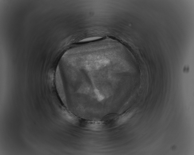 X0000101160288200807181406