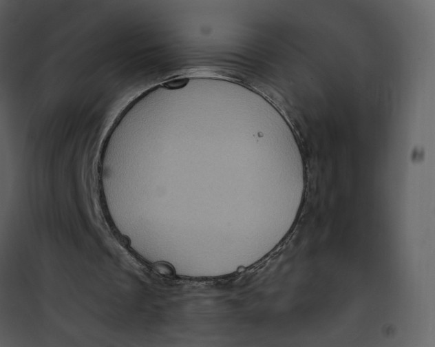 X0000101160289200807181405