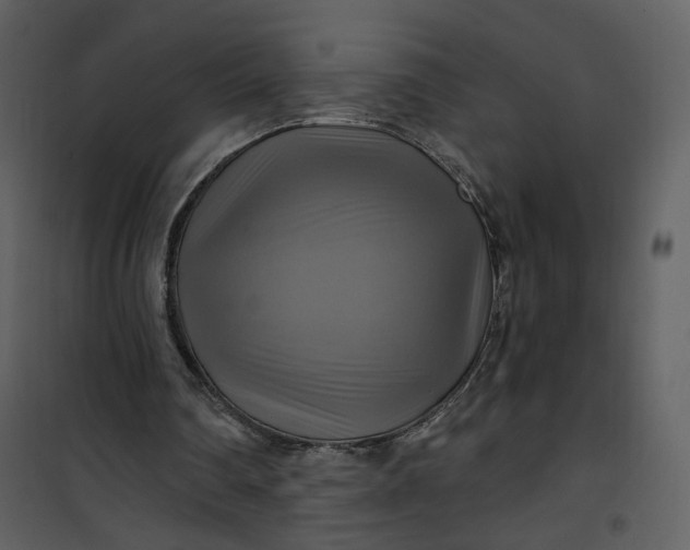 X0000101160290200807181405