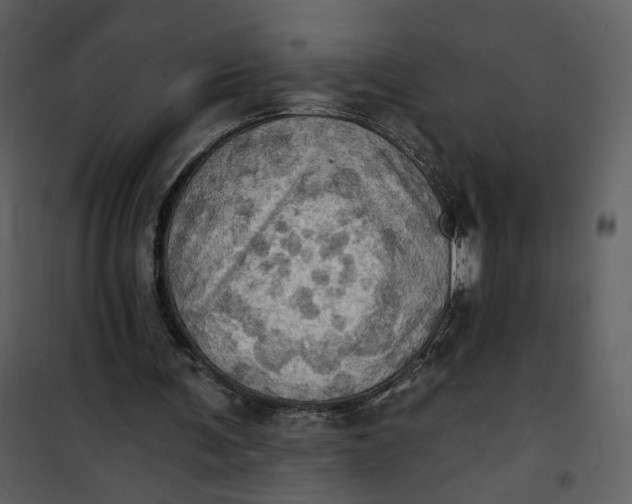X0000101160291200807181405
