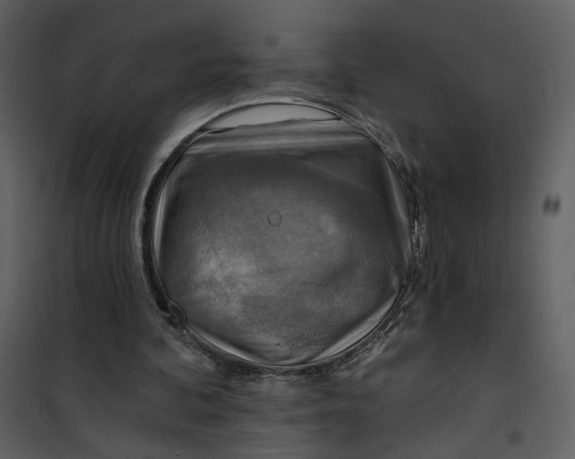 X0000101160292200807181405