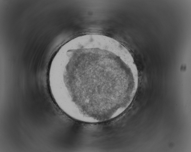 X0000101160293200807181405