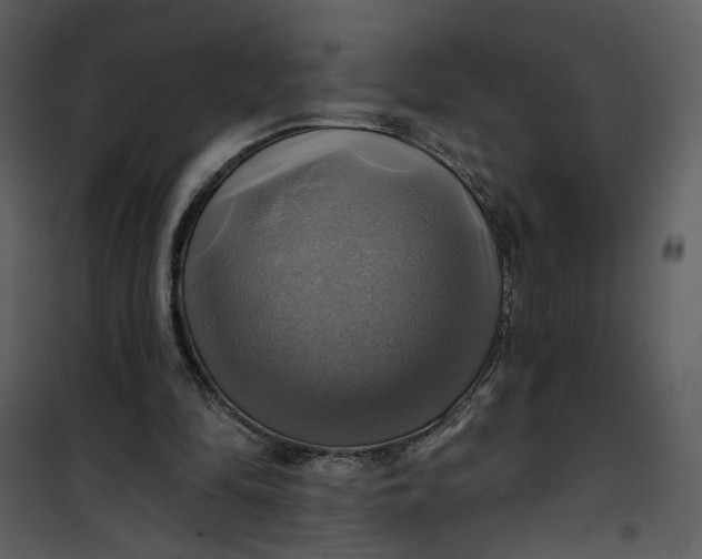 X0000101160294200807181405