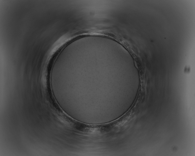 X0000101160295200807181405