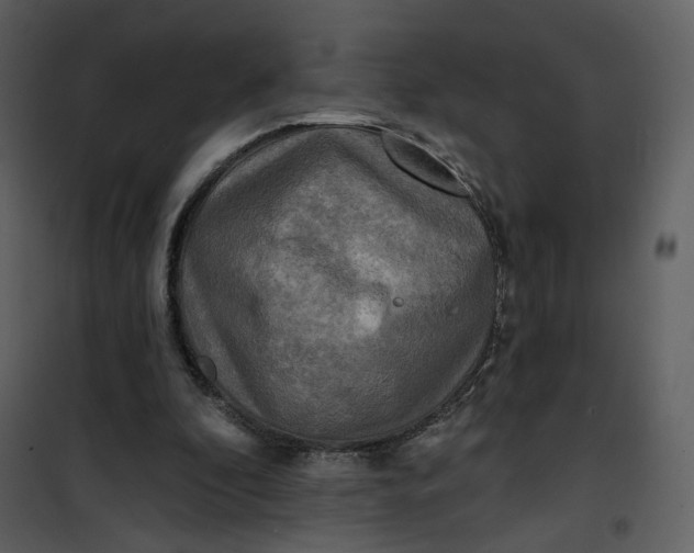 X0000101160296200807181405