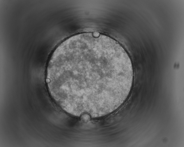 X0000101160297200807181405