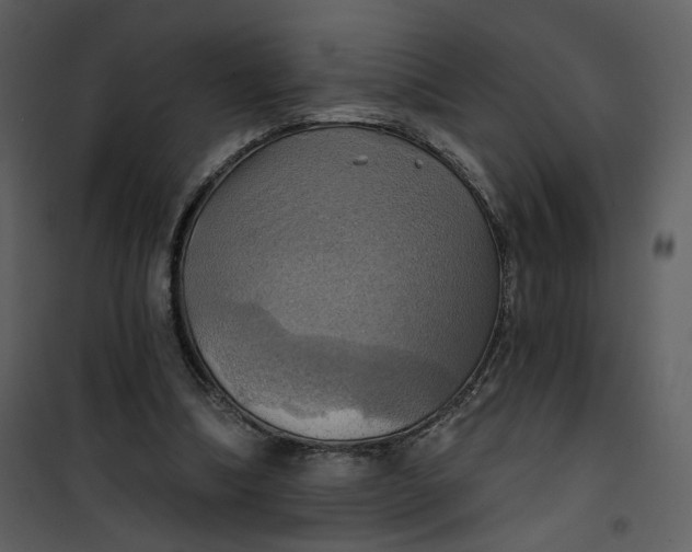 X0000101160298200807181405