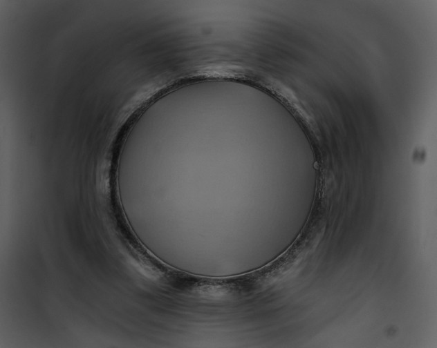 X0000101160299200807181405