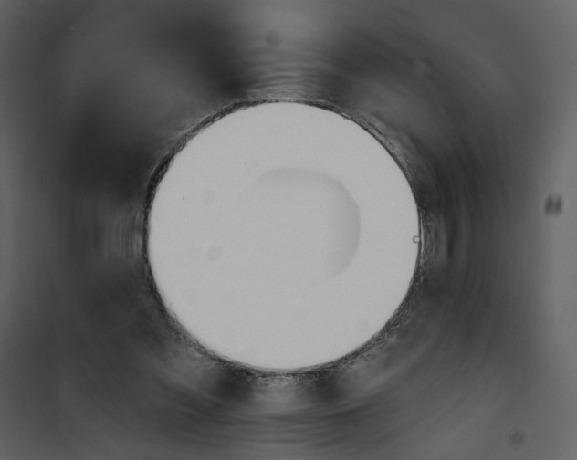 X0000101160301200807181405