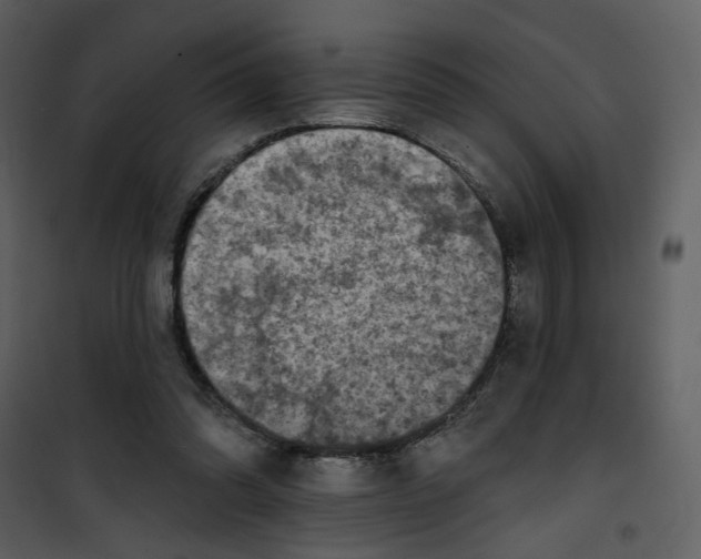 X0000101160302200807181405