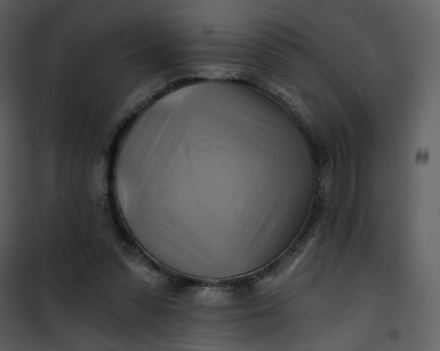 X0000101160303200807181405
